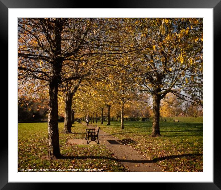 Autumn Park  Framed Mounted Print by Bernard Rose Photography