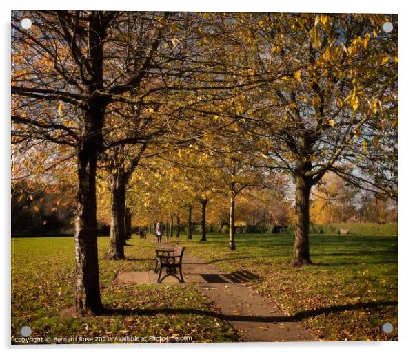 Autumn Park  Acrylic by Bernard Rose Photography