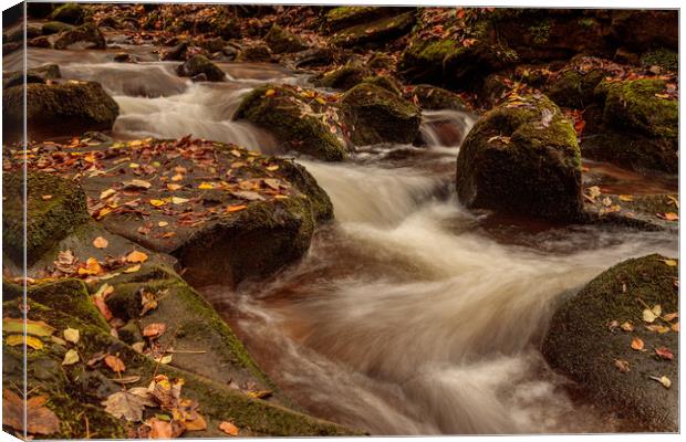 Autumn on the Clywedog River Canvas Print by Wendy Williams CPAGB