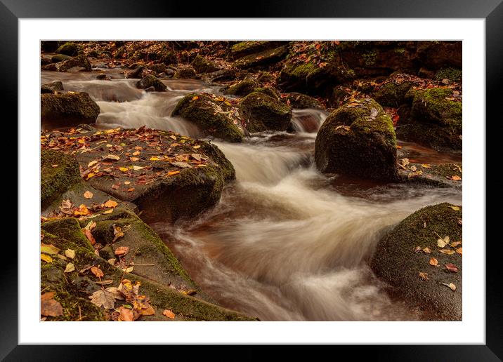 Autumn on the Clywedog River Framed Mounted Print by Wendy Williams CPAGB