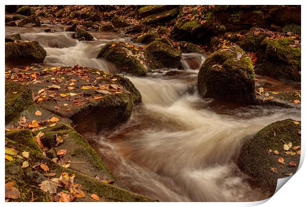 Autumn on the Clywedog River Print by Wendy Williams CPAGB