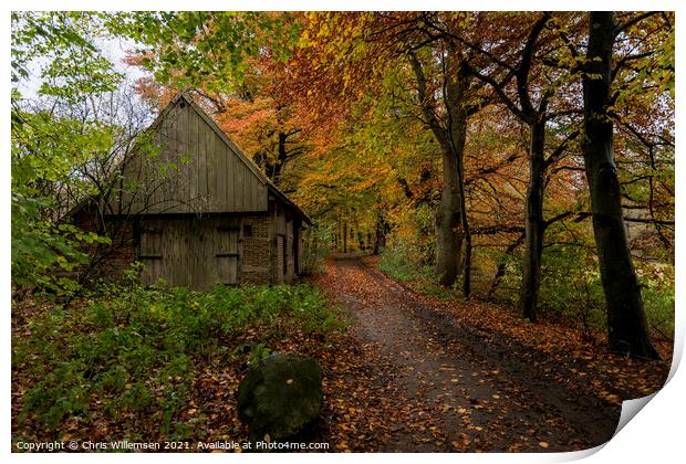 old farm in a autumn forest in holland Print by Chris Willemsen