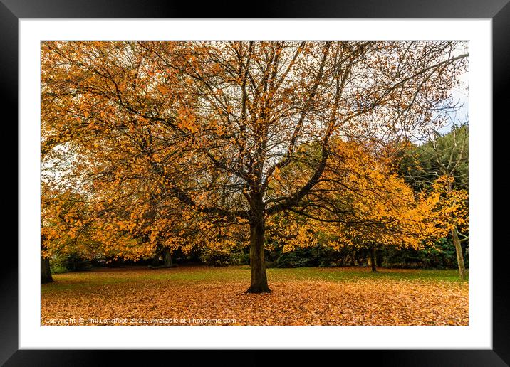 Autumn leaves in a Liverpool park  Framed Mounted Print by Phil Longfoot