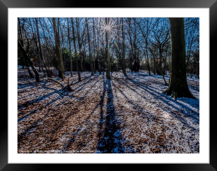 Winter Shadows Framed Mounted Print by Colin Metcalf