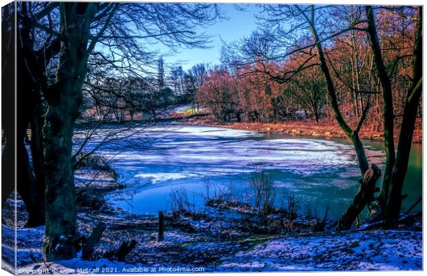 Frozen Lake Canvas Print by Colin Metcalf