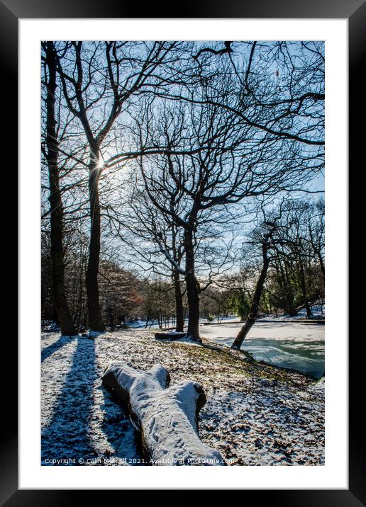 Cold Winter Light Framed Mounted Print by Colin Metcalf