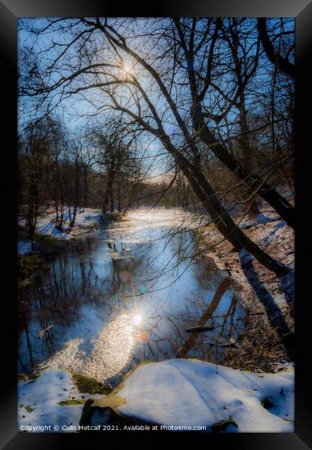Reflected Winter Sun Framed Print by Colin Metcalf