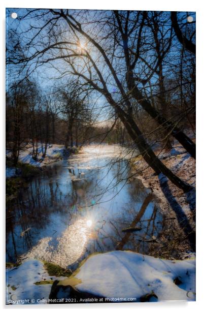 Reflected Winter Sun Acrylic by Colin Metcalf
