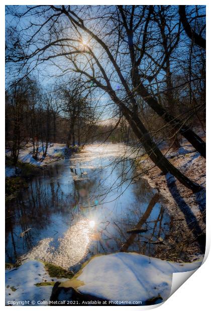 Reflected Winter Sun Print by Colin Metcalf