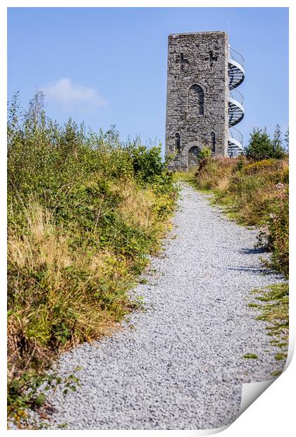 Wellington Tower Grange Crag Tipperary Ireland Print by Phil Crean
