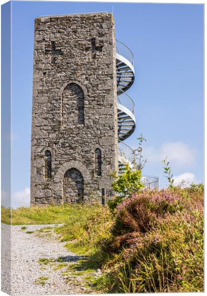 Wellington Tower Grange Crag Tipperary Ireland Canvas Print by Phil Crean