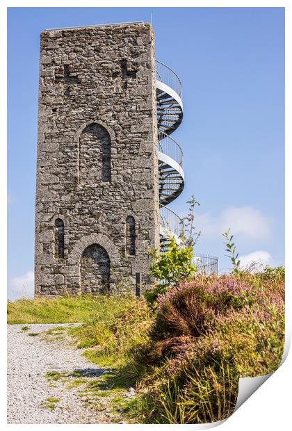 Wellington Tower Grange Crag Tipperary Ireland Print by Phil Crean