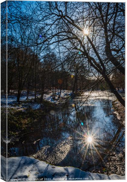 Reflected Winter Sun Canvas Print by Colin Metcalf