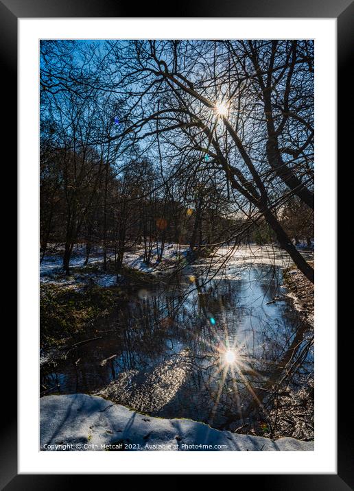 Reflected Winter Sun Framed Mounted Print by Colin Metcalf