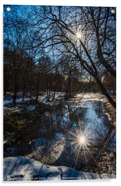 Reflected Winter Sun Acrylic by Colin Metcalf