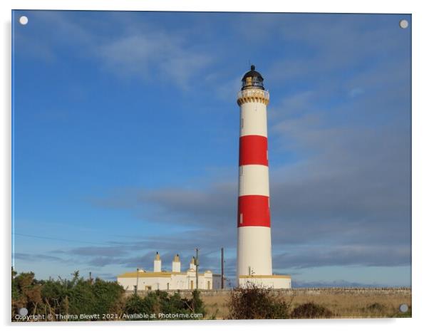 Tarbat Ness Lighthouse Acrylic by Thelma Blewitt