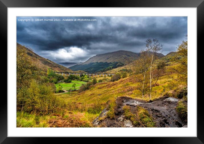 Scotland's Iconic Glenfinnan Viaduct Unveiled Framed Mounted Print by Gilbert Hurree