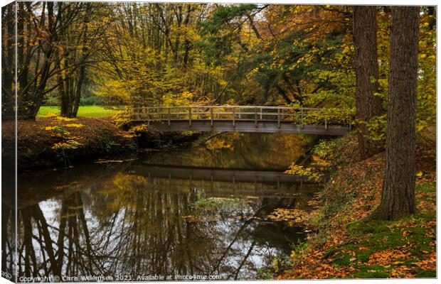 wooden bridge in autumn forest in nature area singraven Canvas Print by Chris Willemsen