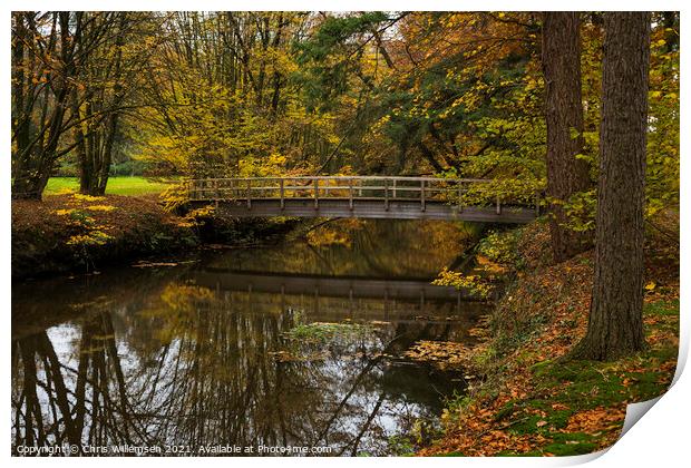 wooden bridge in autumn forest in nature area singraven Print by Chris Willemsen