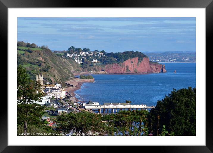 Looking down on Teignmouth  Framed Mounted Print by Rosie Spooner