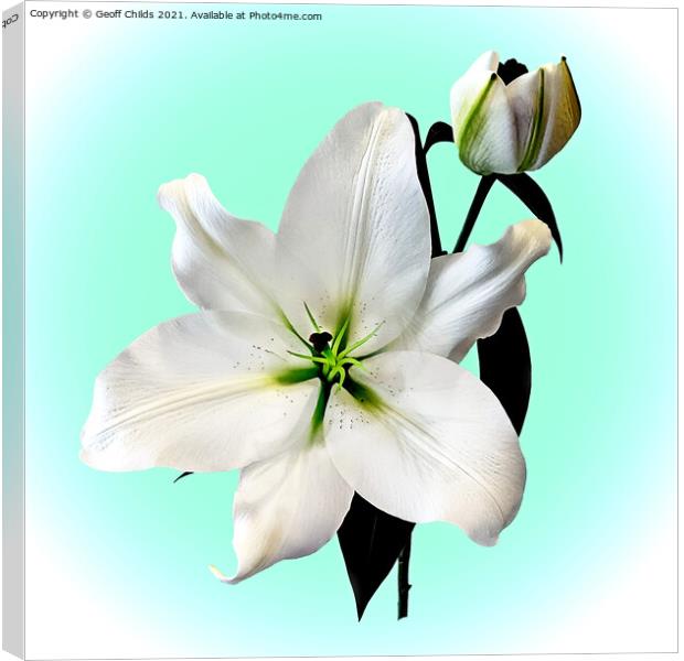 The beautiful magestic White Madonna Lily. Canvas Print by Geoff Childs