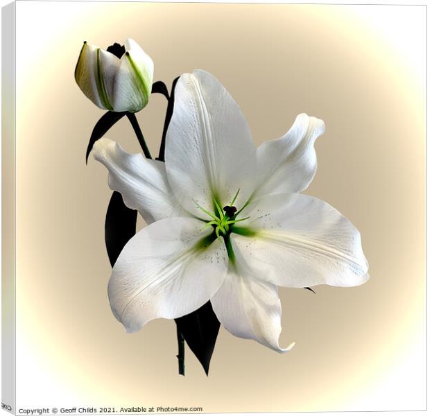 The beautiful majestic White Madonna Lily. Canvas Print by Geoff Childs