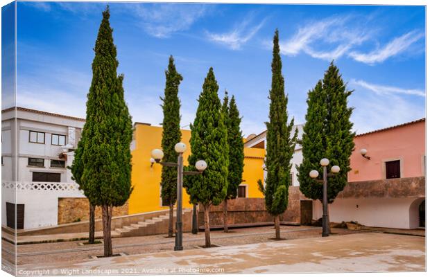 The Trees Loule Canvas Print by Wight Landscapes