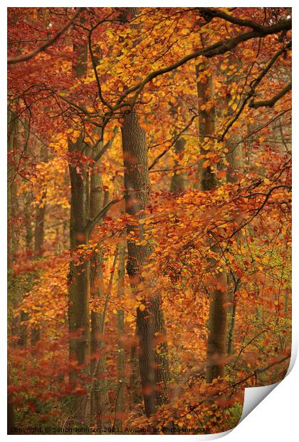 autumn colour Print by Simon Johnson
