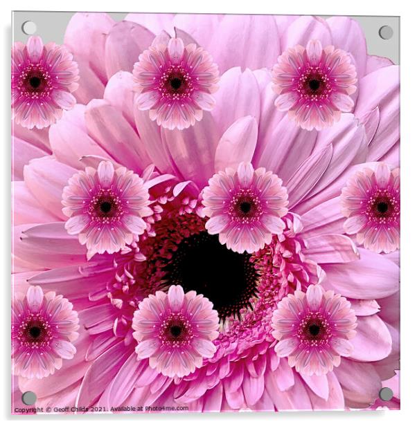 Pretty photographic composition display of Pink Gerbera Daisies. Acrylic by Geoff Childs