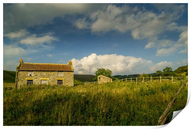 Abandoned Farm House, North Yorkshire Moors Print by Michael Shannon