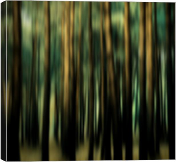 dream trees abstract Canvas Print by Heather Newton