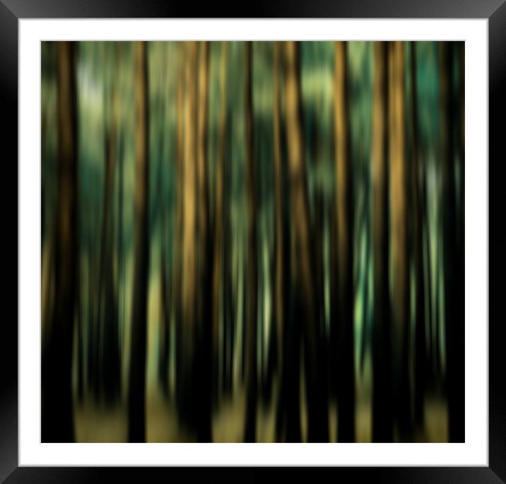 dream trees abstract Framed Mounted Print by Heather Newton