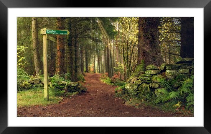Braan path  Framed Mounted Print by Anthony McGeever