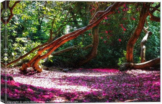 Magical woodlands at Sheringham Park Canvas Print by Laura Baxter
