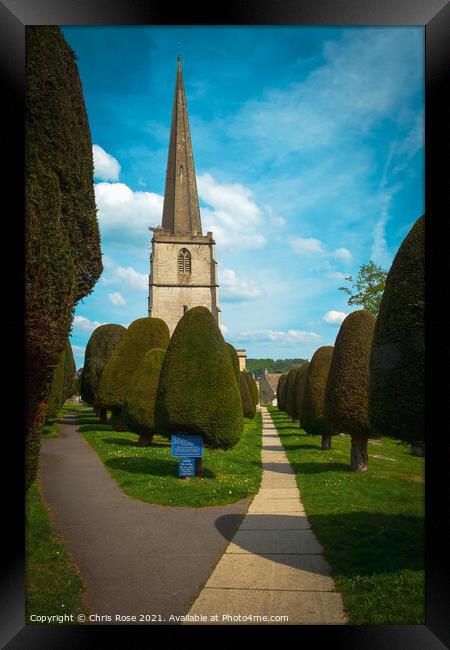 Famous yew trees in the churchyard at Painswick Framed Print by Chris Rose