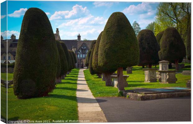 Painswick churchyard yew trees Canvas Print by Chris Rose