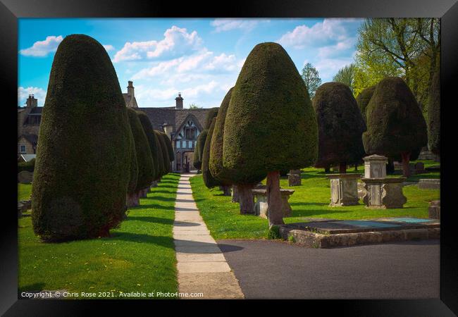 Painswick churchyard yew trees Framed Print by Chris Rose
