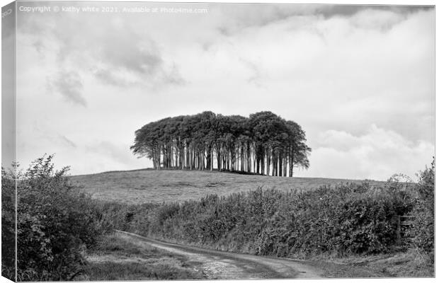 Nearly Home Trees, Coming home trees, Cornwall trees Cookworthy  Canvas Print by kathy white