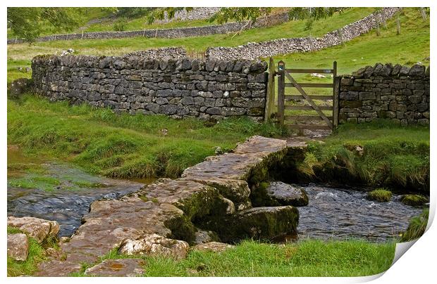 Near Malham Cove Print by Geoff Storey