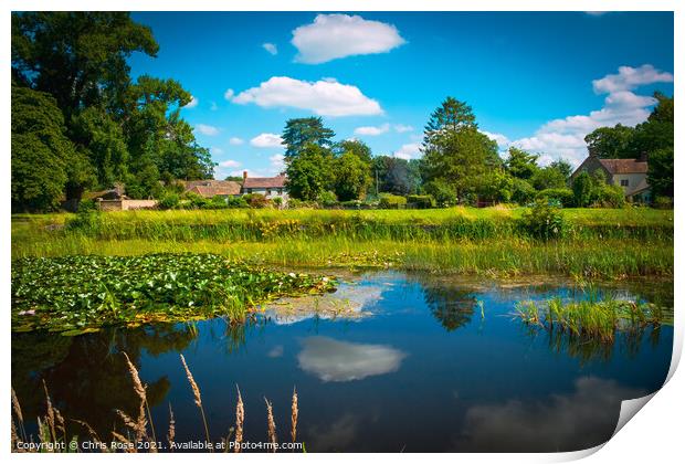 Frampton on Severn, Village green and ponds Print by Chris Rose