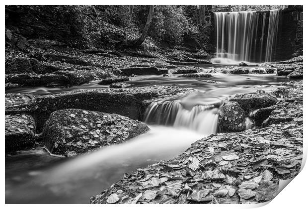 Plas Power Waterfall in mono Print by Wendy Williams CPAGB
