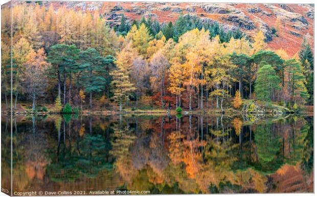 Autumn Colour Reflections in Blea Tarn in the Lake District, England Canvas Print by Dave Collins