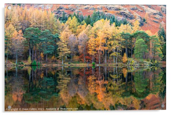 Autumn Colour Reflections in Blea Tarn in the Lake District, England Acrylic by Dave Collins