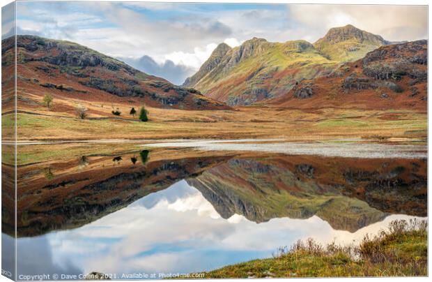 Outdoor Reflections in Blea Tarn in the Langdales hanging Valley in the Lake District, Cumbria, England Canvas Print by Dave Collins