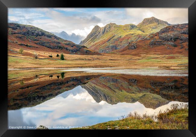 Outdoor Reflections in Blea Tarn in the Langdales hanging Valley in the Lake District, Cumbria, England Framed Print by Dave Collins