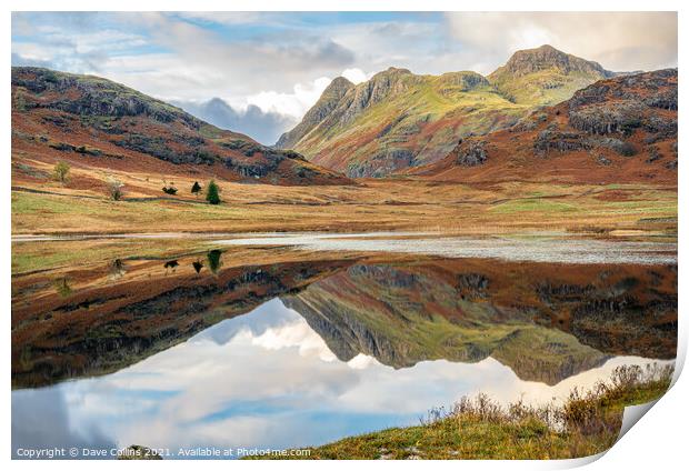 Outdoor Reflections in Blea Tarn in the Langdales hanging Valley in the Lake District, Cumbria, England Print by Dave Collins