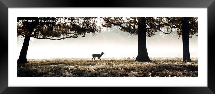 Silhouette Lone deer in morning mist Framed Mounted Print by Kevin White
