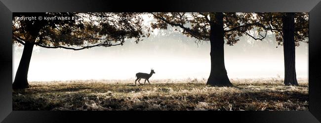 Silhouette Lone deer in morning mist Framed Print by Kevin White