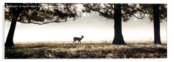 Silhouette Lone deer in morning mist Acrylic by Kevin White