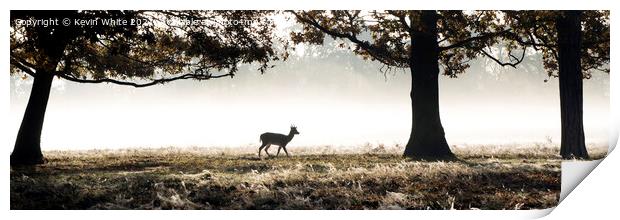 Silhouette Lone deer in morning mist Print by Kevin White
